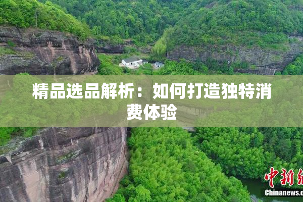 精品选品解析：如何打造独特消费体验