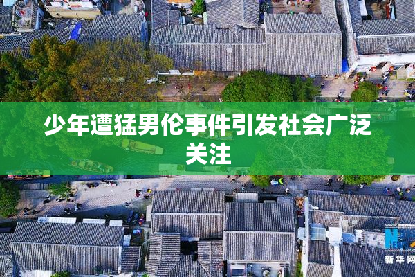 少年遭猛男伦事件引发社会广泛关注