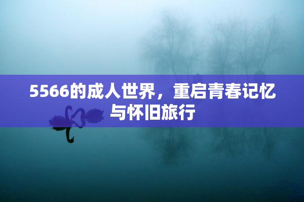 5566的成人世界，重启青春记忆与怀旧旅行