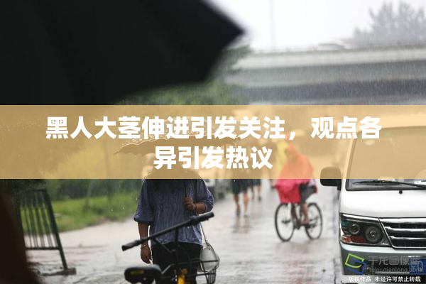 黑人大茎伸进引发关注，观点各异引发热议