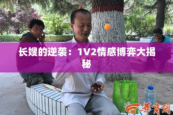 长嫂的逆袭：1V2情感博弈大揭秘