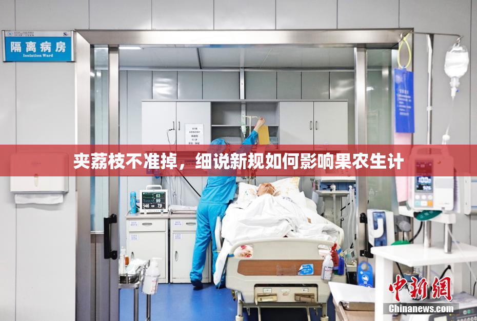 夹荔枝不准掉，细说新规如何影响果农生计