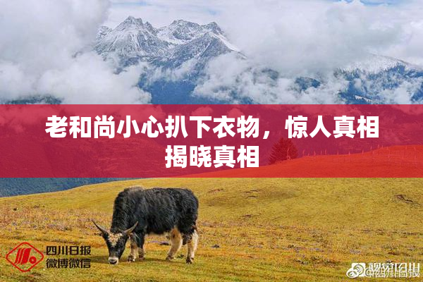 老和尚小心扒下衣物，惊人真相揭晓真相