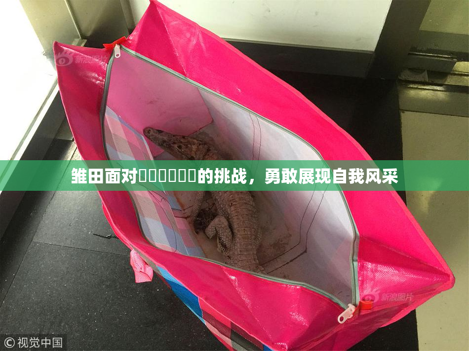 雏田面对❌‌❌‌❌‌的挑战，勇敢展现自我风采