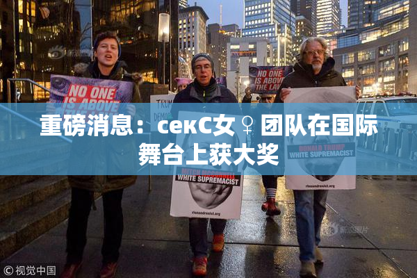 重磅消息：секС女♀团队在国际舞台上获大奖