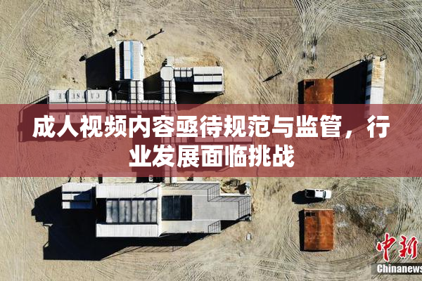 成人视频内容亟待规范与监管，行业发展面临挑战