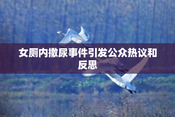 女厕内撒尿事件引发公众热议和反思
