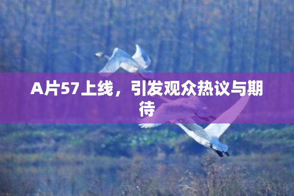 A片57上线，引发观众热议与期待