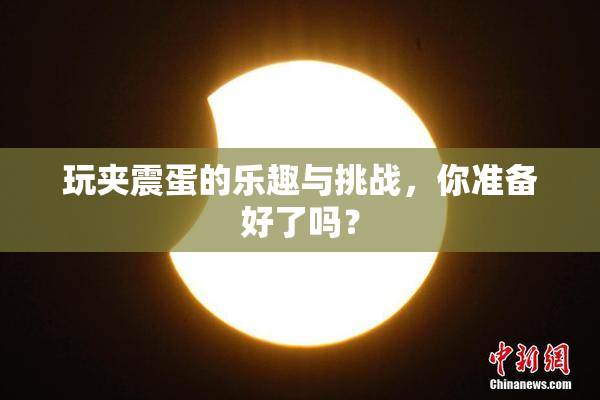 玩夹震蛋的乐趣与挑战，你准备好了吗？