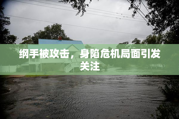 纲手被攻击，身陷危机局面引发关注