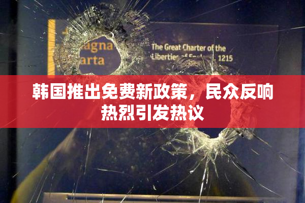 韩国推出免费新政策，民众反响热烈引发热议