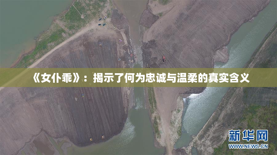 《女仆乖》：揭示了何为忠诚与温柔的真实含义