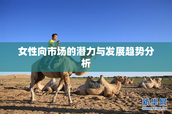 女性向市场的潜力与发展趋势分析