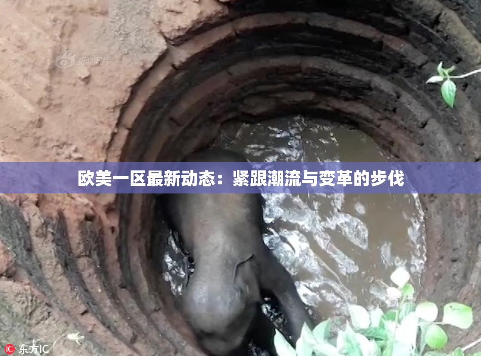 欧美一区最新动态：紧跟潮流与变革的步伐