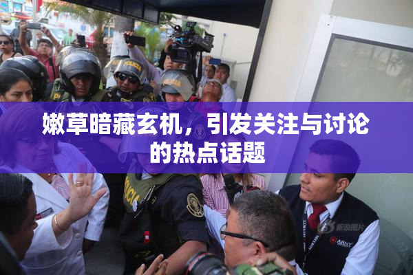 嫩草暗藏玄机，引发关注与讨论的热点话题
