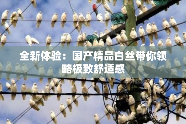 全新体验：国产精品白丝带你领略极致舒适感