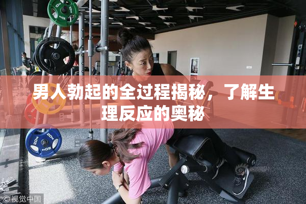 男人勃起的全过程揭秘，了解生理反应的奥秘