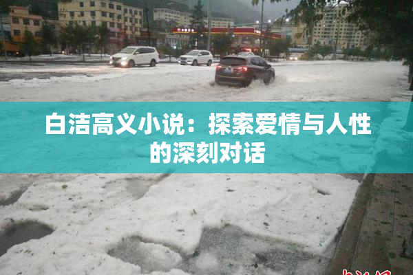 白洁高义小说：探索爱情与人性的深刻对话