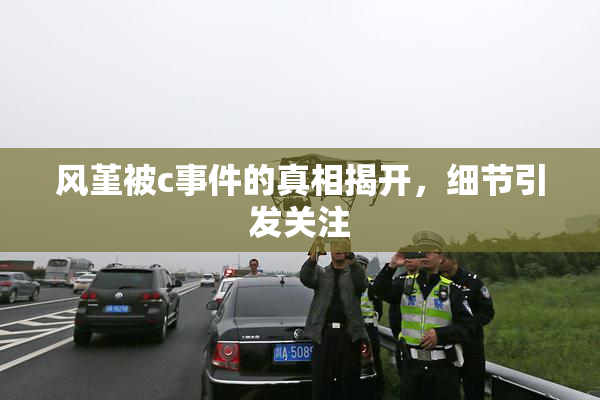 风堇被c事件的真相揭开，细节引发关注