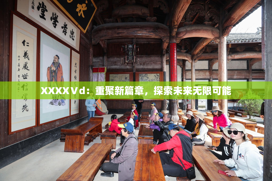 XXXXⅤd：重聚新篇章，探索未来无限可能
