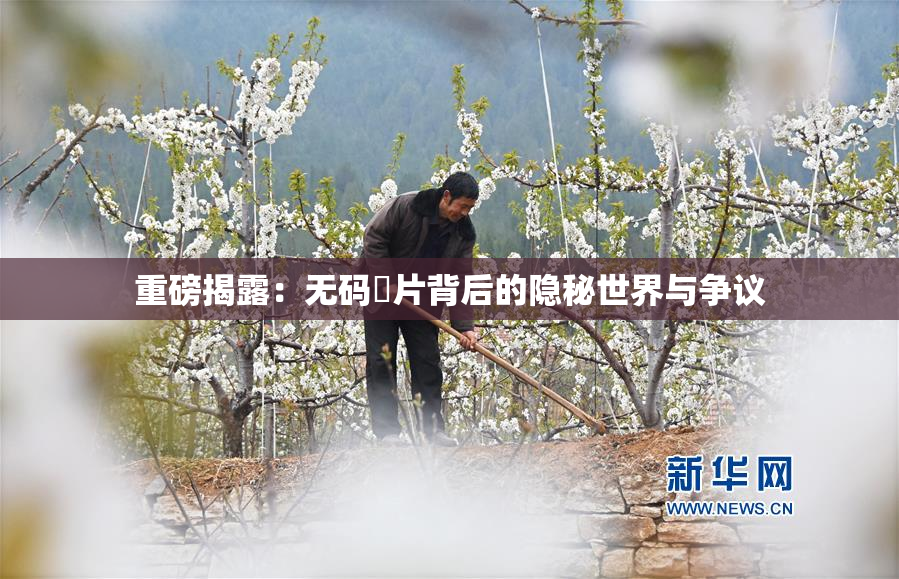 重磅揭露：无码婬片背后的隐秘世界与争议