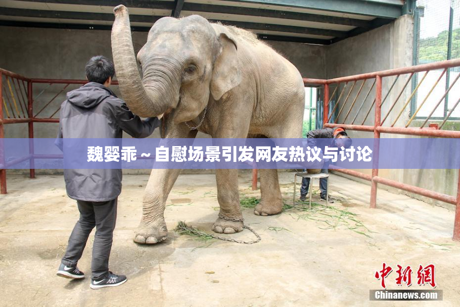 魏婴乖～自慰场景引发网友热议与讨论