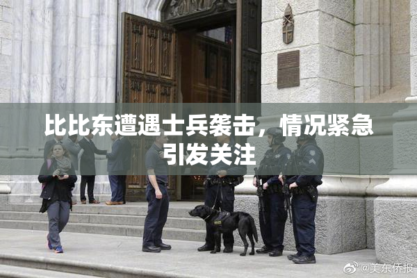 比比东遭遇士兵袭击，情况紧急引发关注