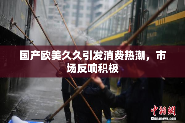 国产欧美久久引发消费热潮，市场反响积极