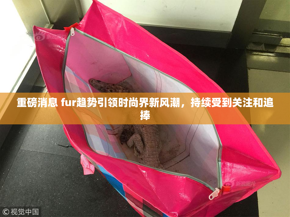 重磅消息 fur趋势引领时尚界新风潮，持续受到关注和追捧