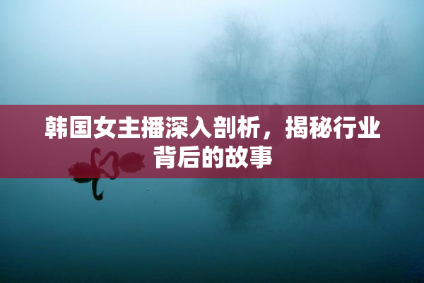 韩国女主播深入剖析，揭秘行业背后的故事