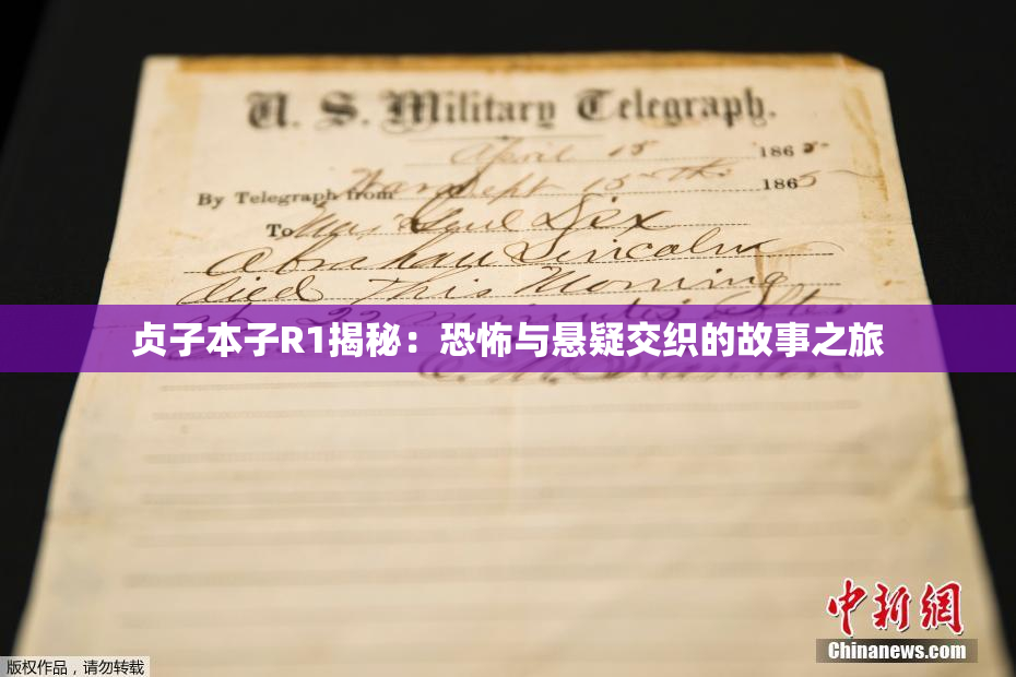 贞子本子R1揭秘：恐怖与悬疑交织的故事之旅