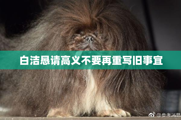 白洁恳请高义不要再重写旧事宜