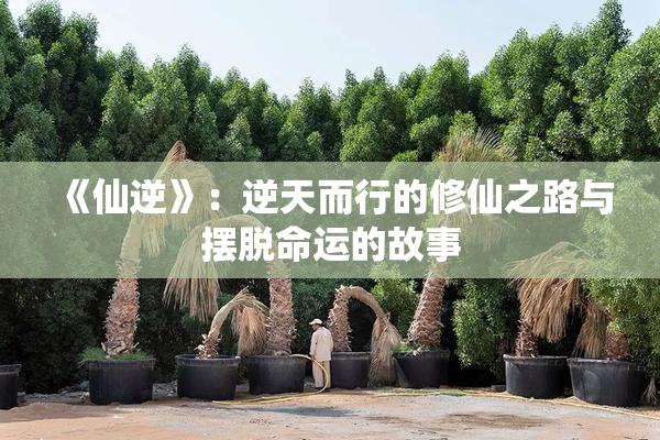 《仙逆》：逆天而行的修仙之路与摆脱命运的故事
