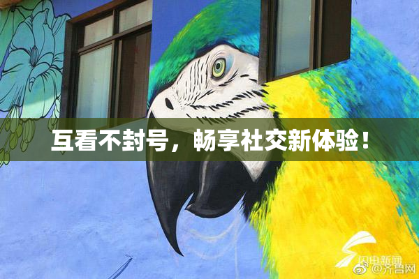 互看不封号，畅享社交新体验！