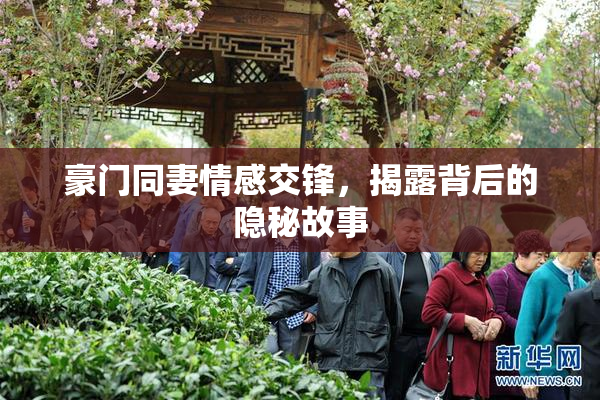 豪门同妻情感交锋，揭露背后的隐秘故事