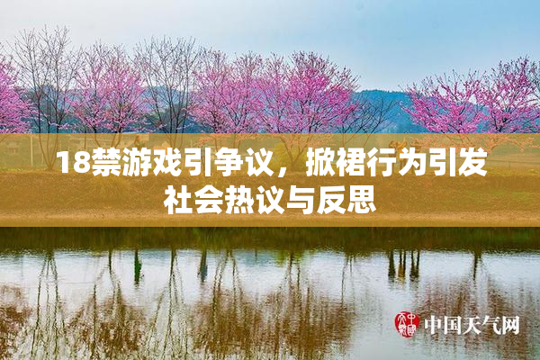 18禁游戏引争议，掀裙行为引发社会热议与反思