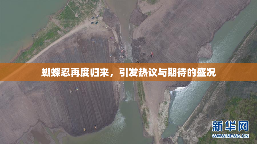 蝴蝶忍再度归来，引发热议与期待的盛况