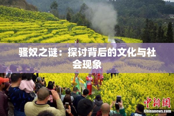 骚奴之谜：探讨背后的文化与社会现象