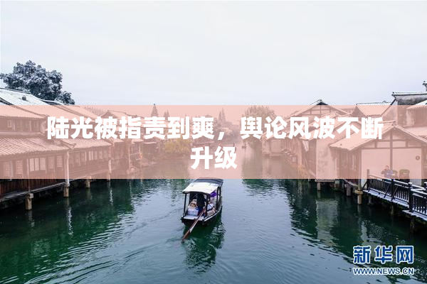 陆光被指责到爽，舆论风波不断升级