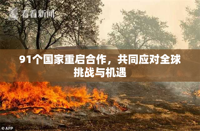 91个国家重启合作，共同应对全球挑战与机遇