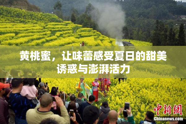 黄桃蜜，让味蕾感受夏日的甜美诱惑与澎湃活力