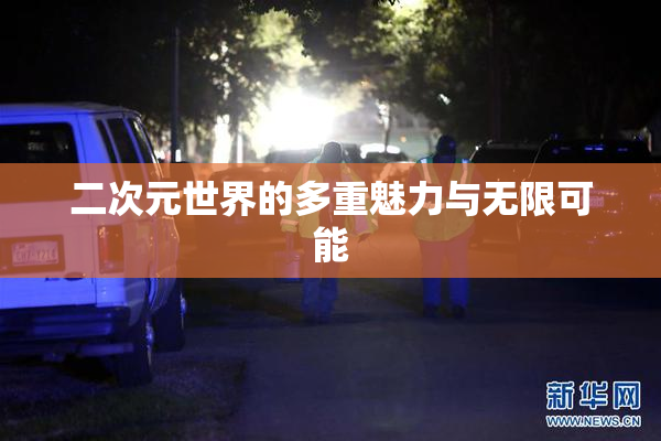 二次元世界的多重魅力与无限可能
