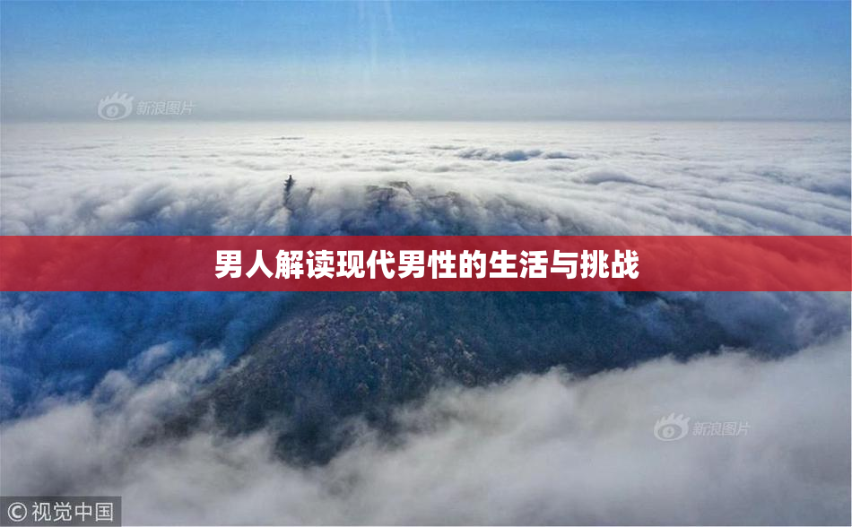 男人解读现代男性的生活与挑战