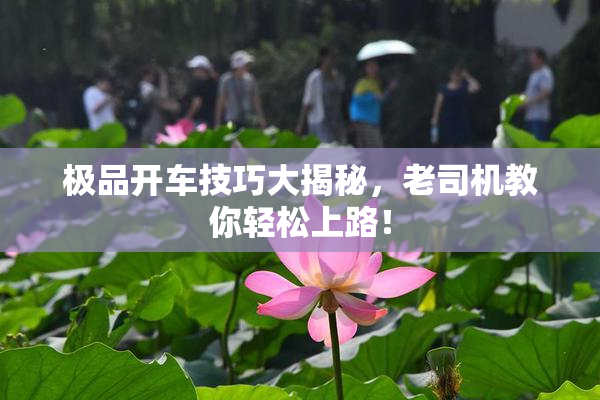 极品开车技巧大揭秘，老司机教你轻松上路！