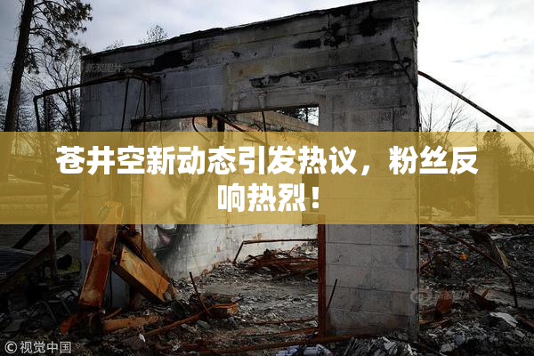 苍井空新动态引发热议，粉丝反响热烈！