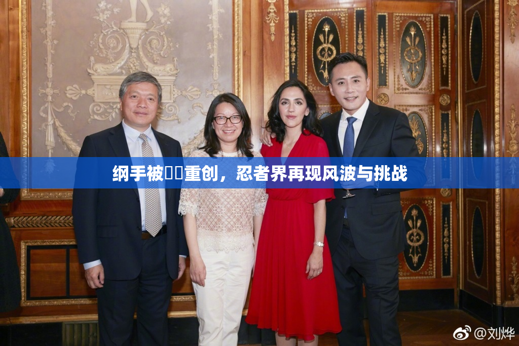 纲手被❌‌重创，忍者界再现风波与挑战