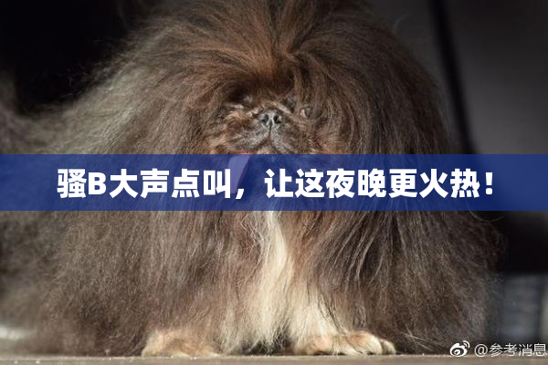 骚B大声点叫，让这夜晚更火热！