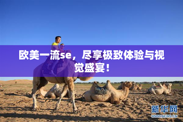 欧美一流se，尽享极致体验与视觉盛宴！