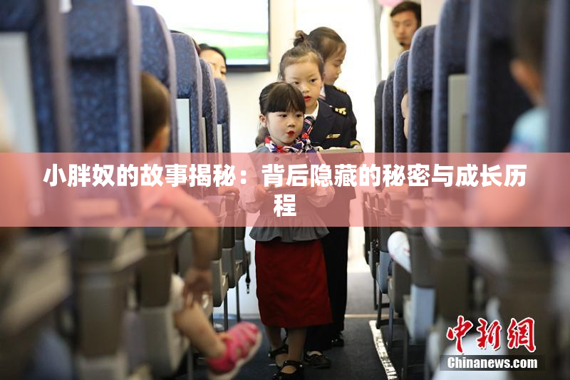 小胖奴的故事揭秘：背后隐藏的秘密与成长历程