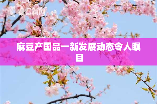 麻豆产国品一新发展动态令人瞩目